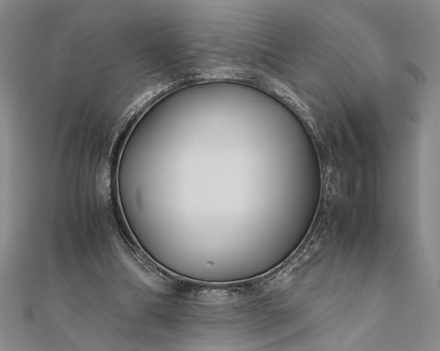 X0000111840298200908061259