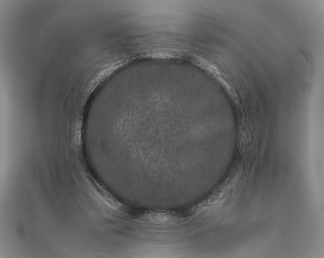 X0000111840299200908061259