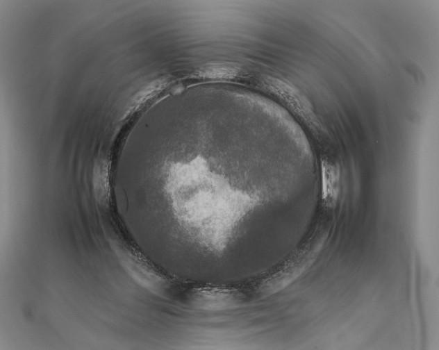 X0000111840300200908061259