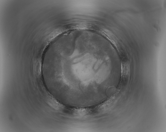 X0000111840301200908061259