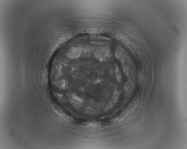 X0000111840303200908061259