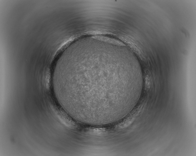 X0000111840304200908061259