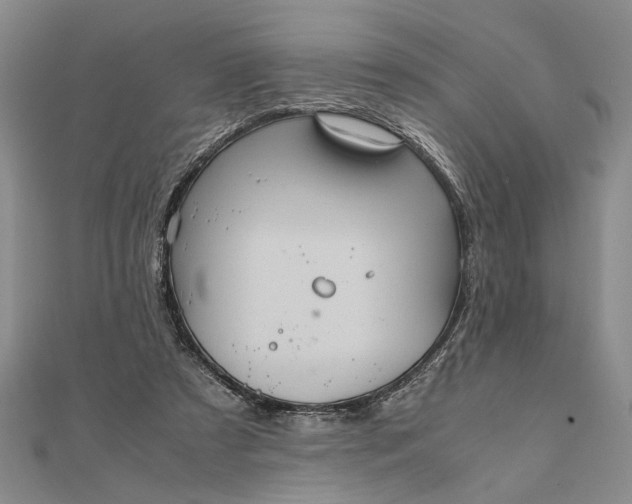 X0000111840305200908061259