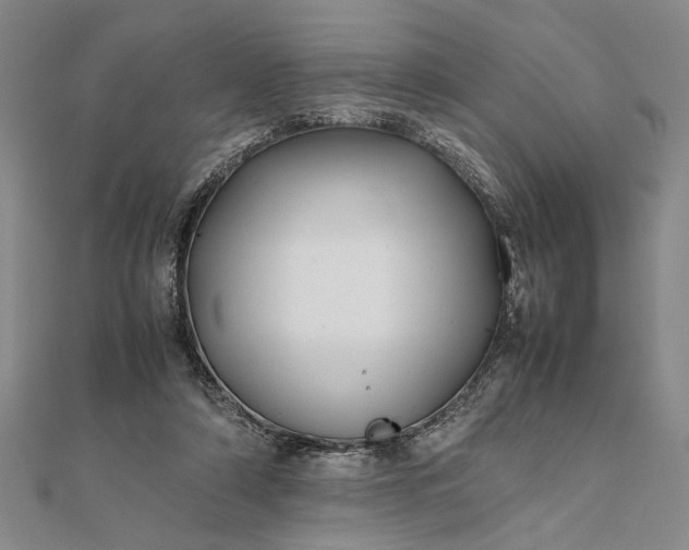 X0000111840306200908061259