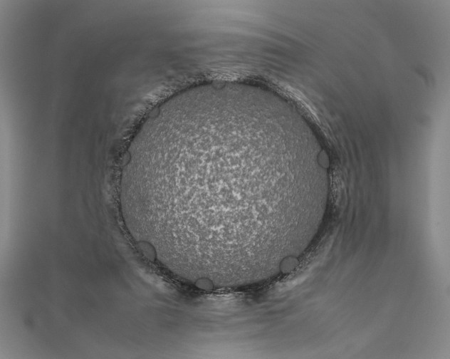 X0000111840307200908061259