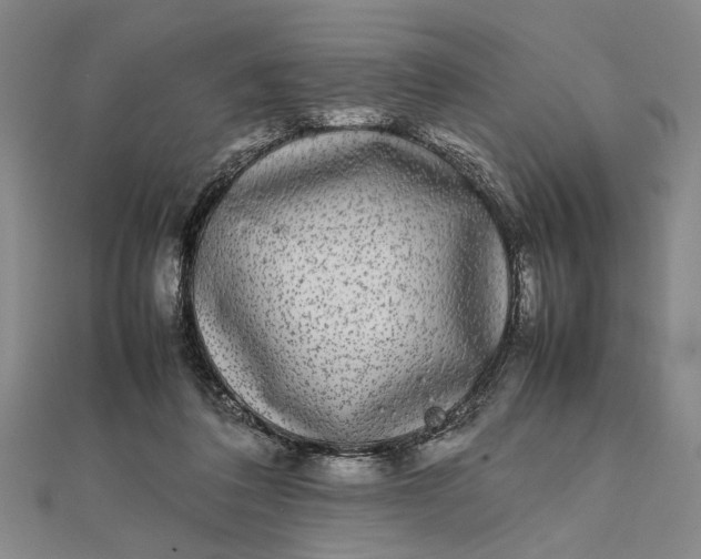 X0000111840308200908061259