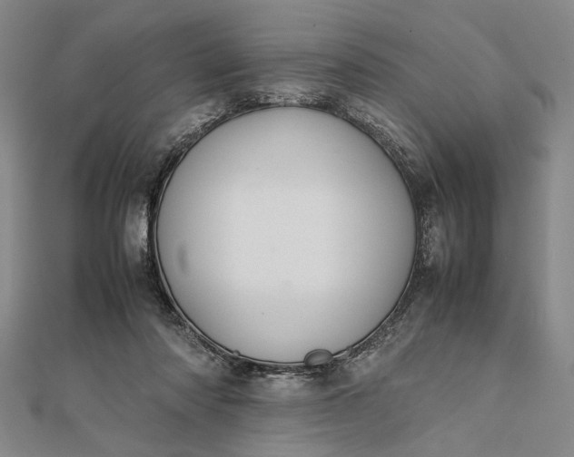 X0000111840310200908061259