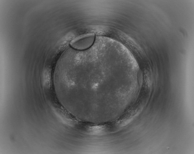 X0000111840312200908061259