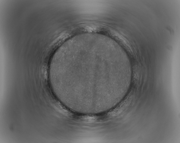 X0000111840313200908061259