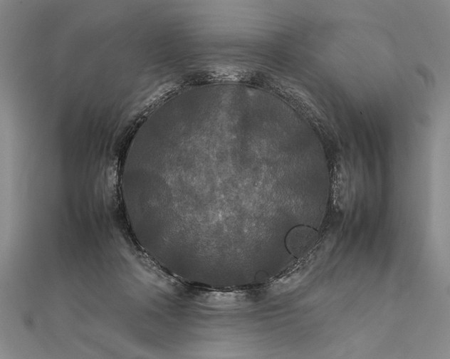 X0000111840314200908061259