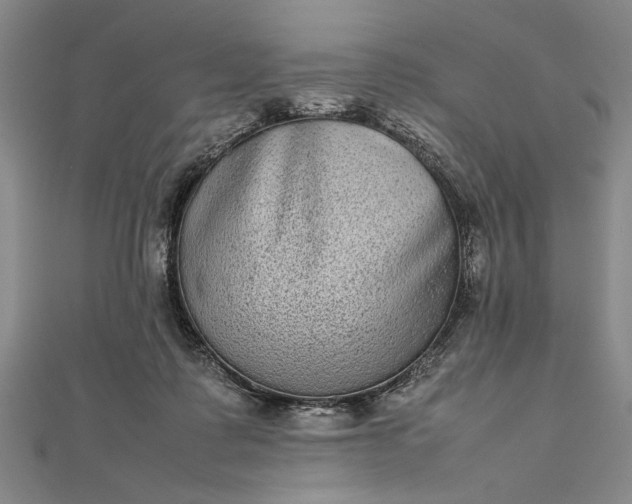 X0000111840315200908061259