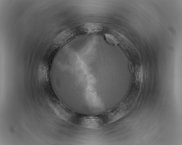 X0000111840316200908061259