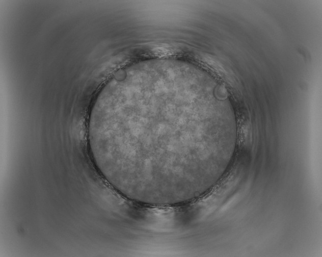 X0000111840317200908061259