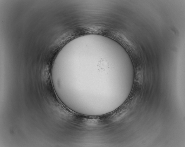 X0000111840318200908061259