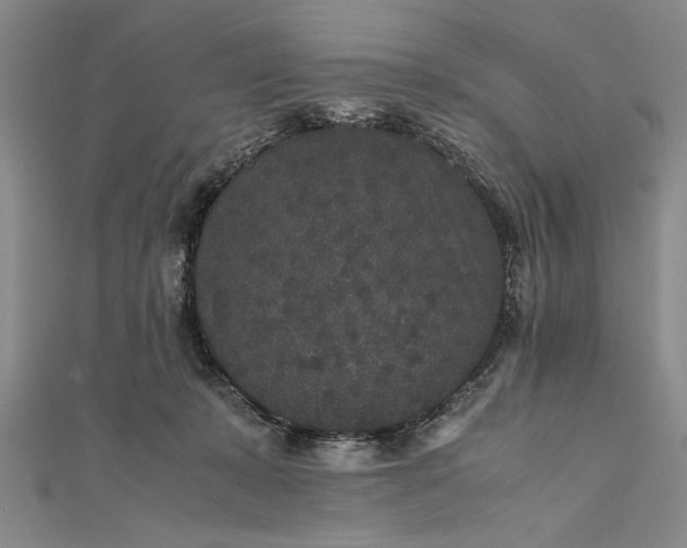 X0000111840319200908061259