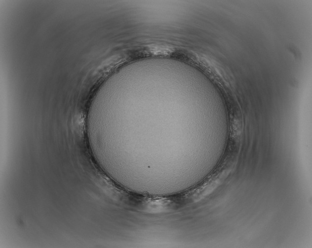 X0000111840321200908061259