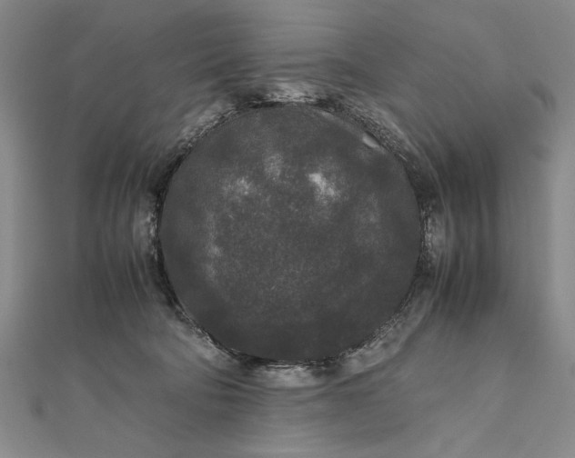 X0000111840322200908061259