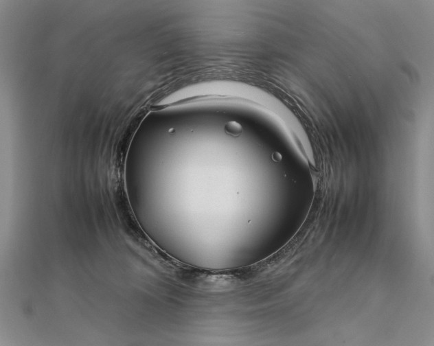 X0000111840324200908061259