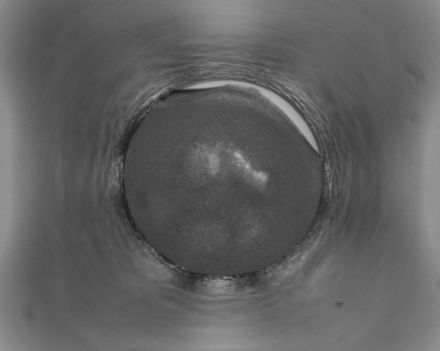 X0000111840325200908061259