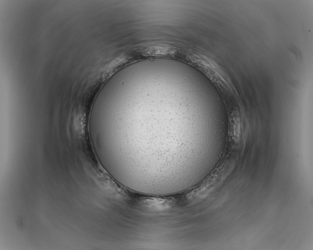 X0000111840326200908061258