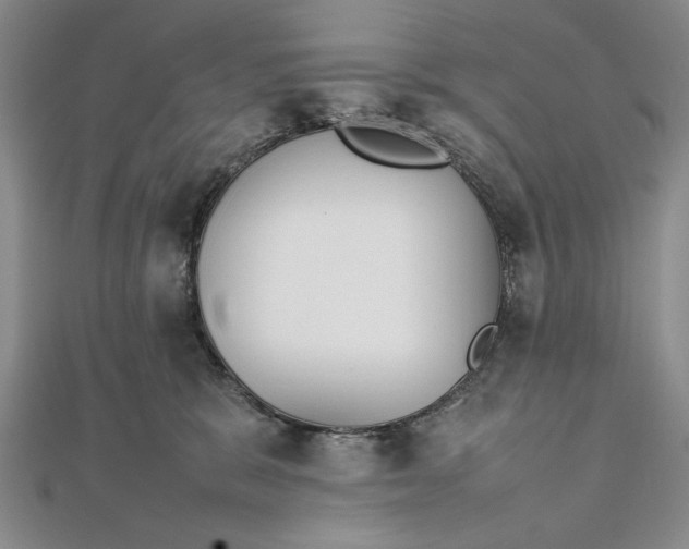 X0000111840327200908061258