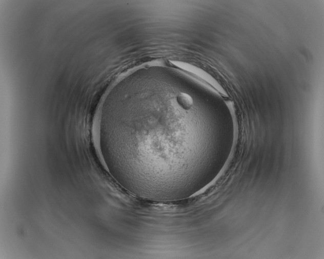 X0000111840328200908061258