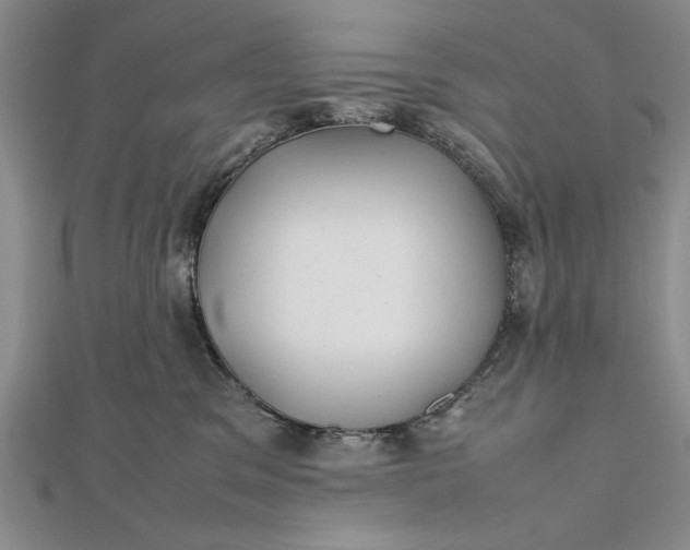 X0000111840329200908061258