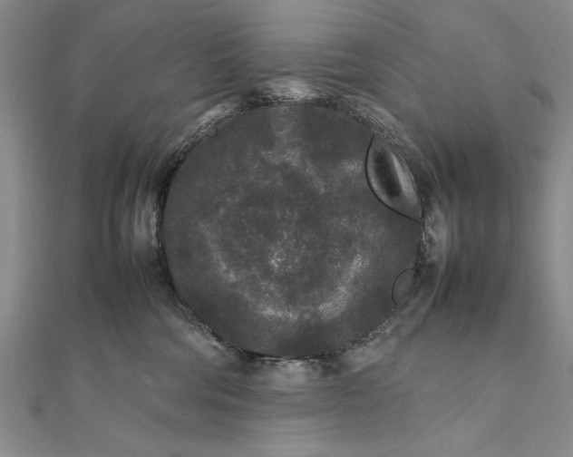 X0000111840330200908061258