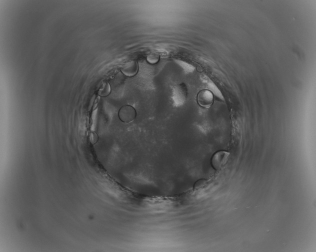 X0000111840331200908061258