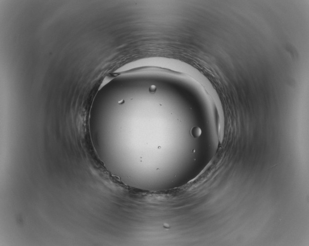 X0000111840332200908061258