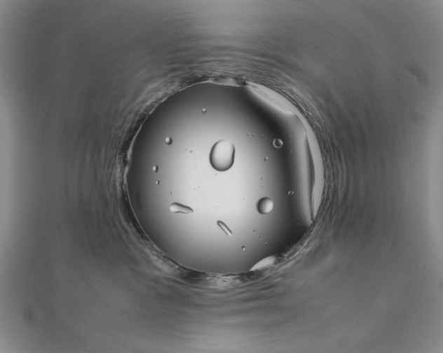 X0000111840333200908061258