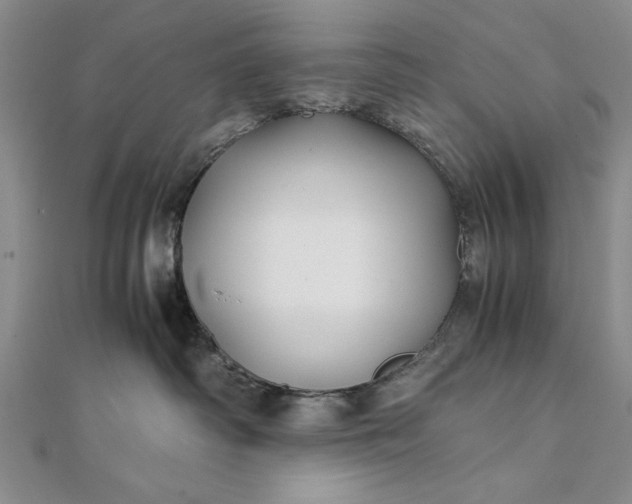 X0000111840334200908061258