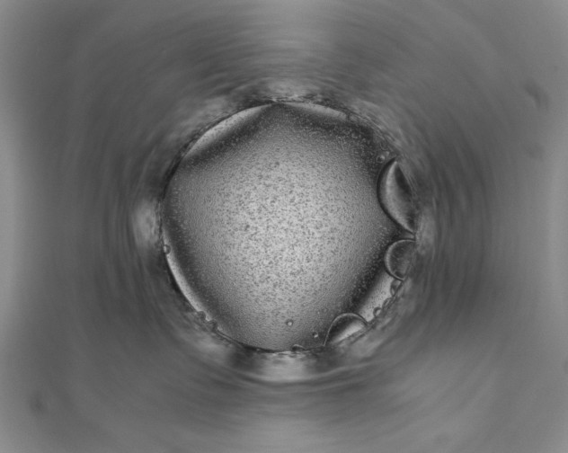 X0000111840335200908061258