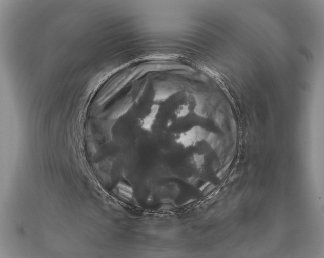 X0000111840337200908061258