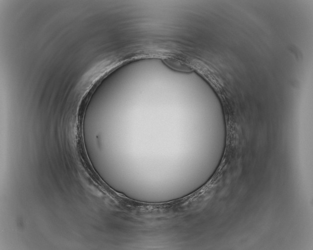 X0000111840338200908061258