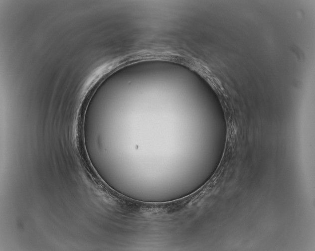 X0000111840340200908061258