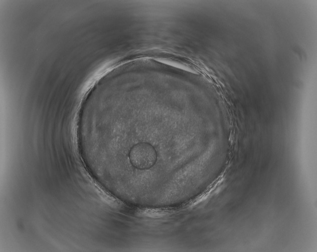 X0000111840341200908061258