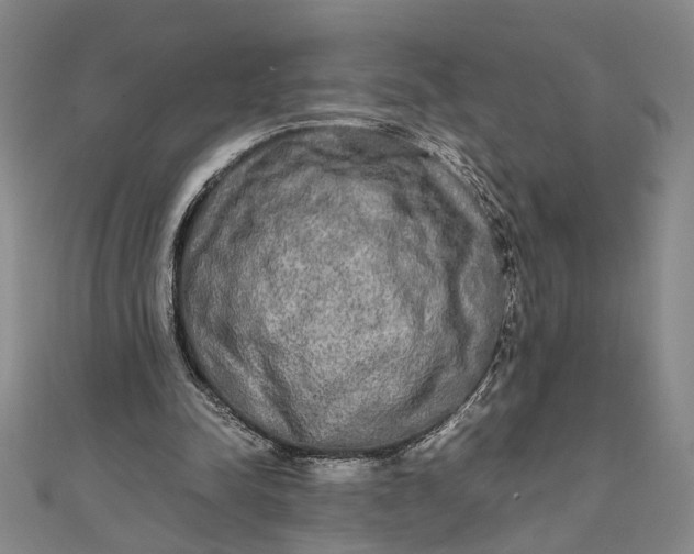 X0000111840342200908061258