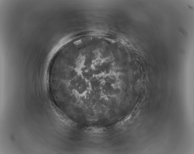 X0000111840343200908061258