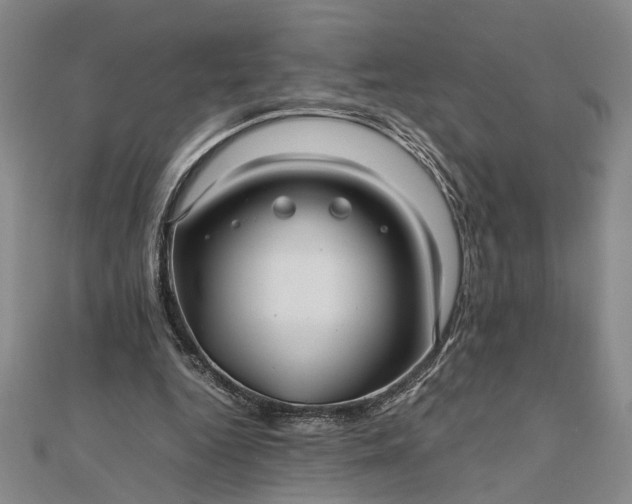 X0000111840344200908061258