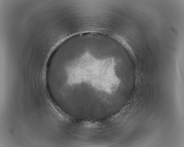 X0000111840346200908061258