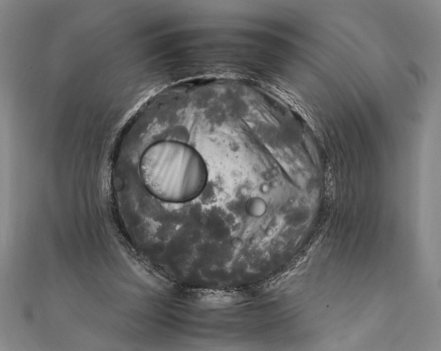 X0000111840347200908061258