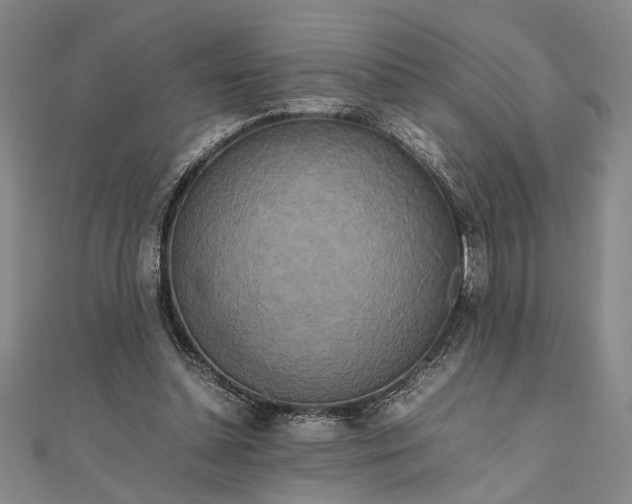 X0000111840348200908061258