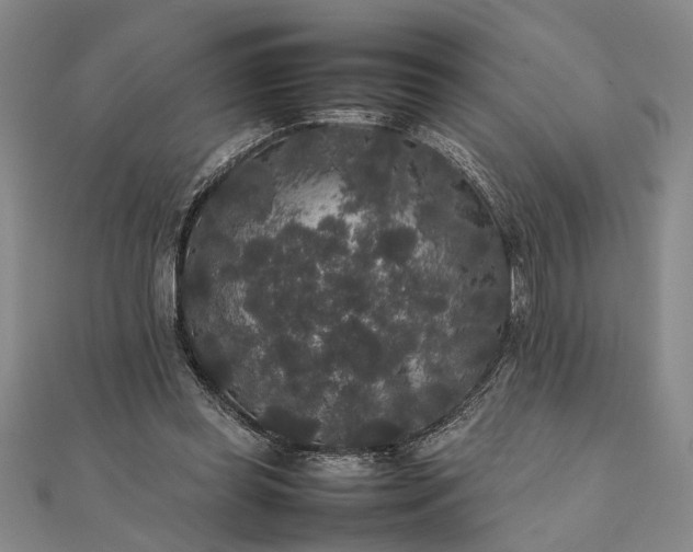 X0000111840349200908061258