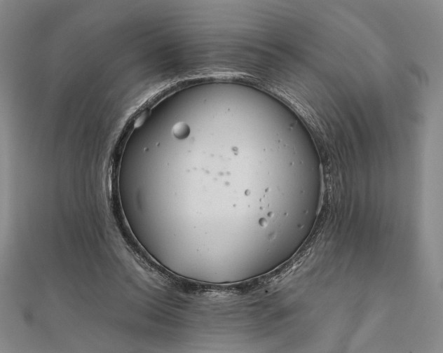 X0000111840350200908061258