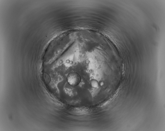 X0000111840351200908061258