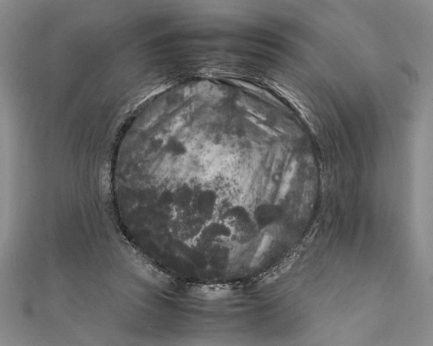 X0000111840353200908061258