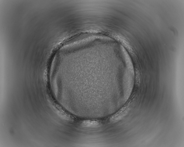 X0000111840354200908061258