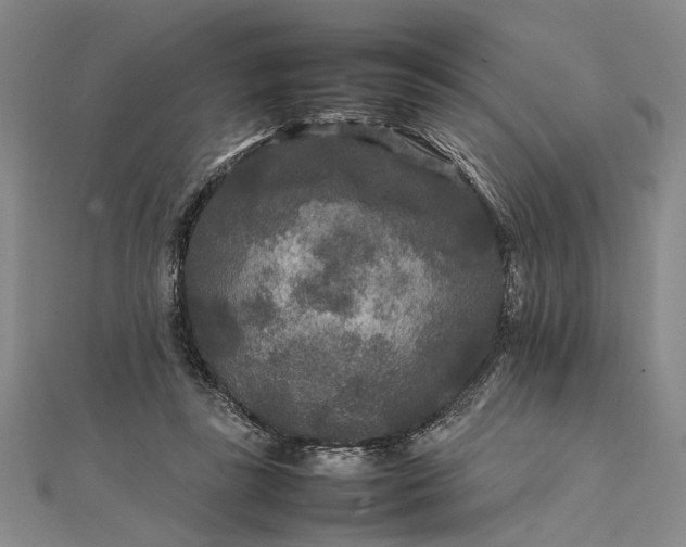 X0000111840355200908061258