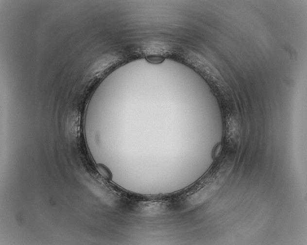 X0000111840356200908061258